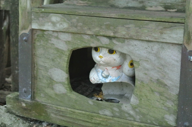 育霊神社 丑の刻参りと猫神様 岡山県新見市 たいろーぐ